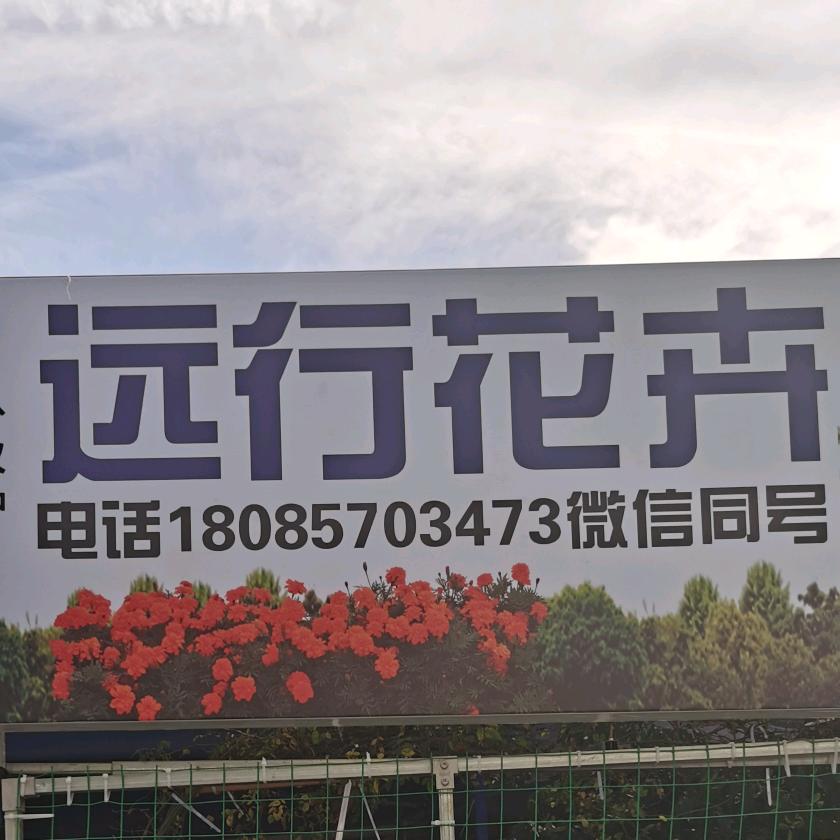 远行花卉