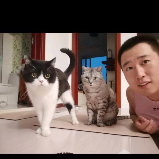 张十亿张亿元爸爸
