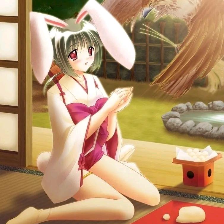 家具日常（互关必回）
