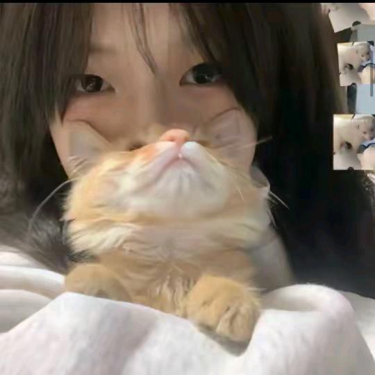 可乐不加辣