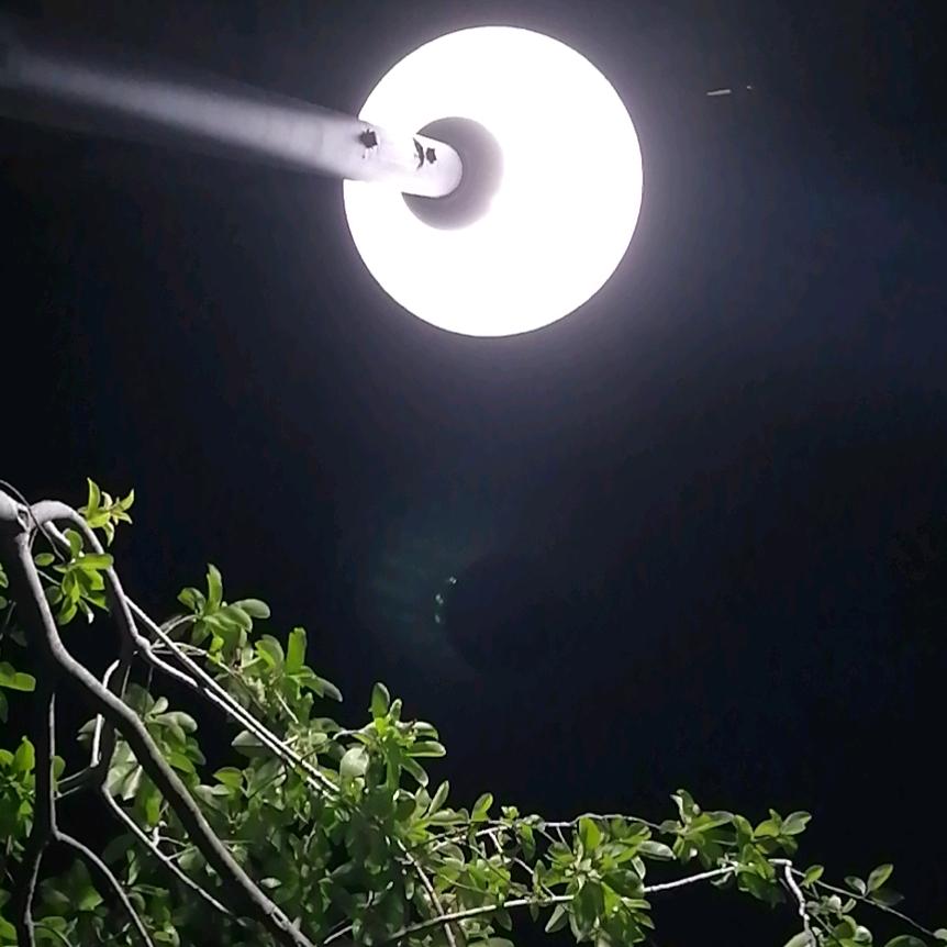 淘我所爱