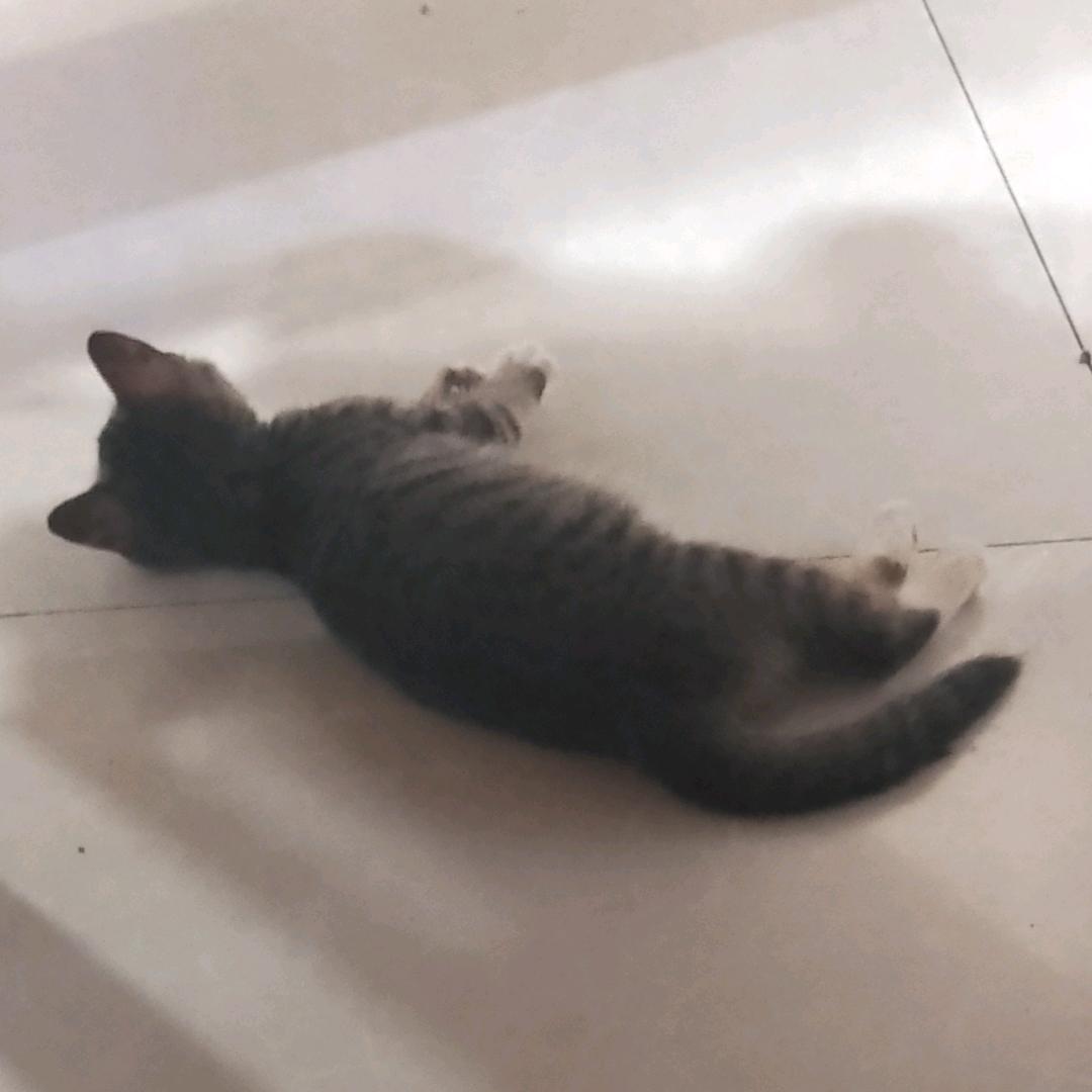 *<(¦Q[▓▓  呼呼呼