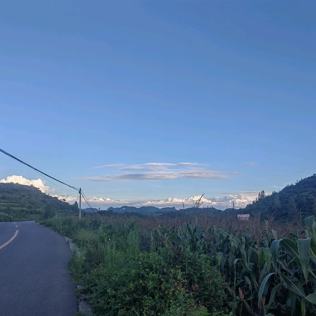 希乙仰