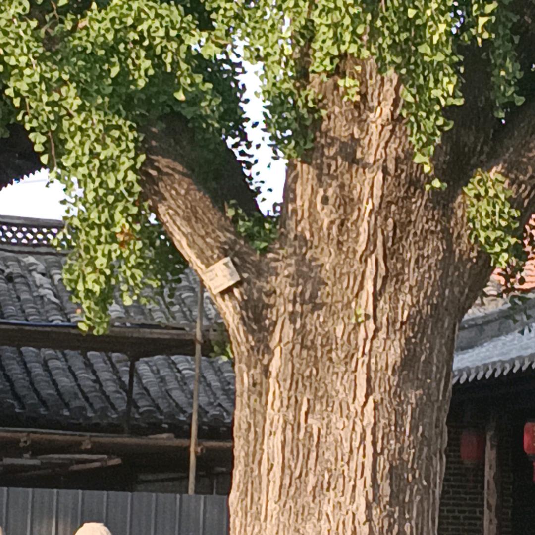 以后的生活就你说的算