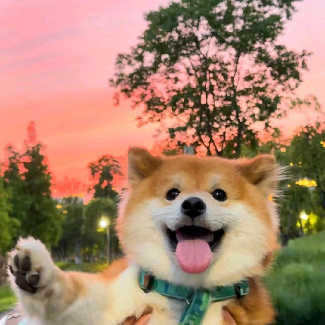 哆啦不睡觉