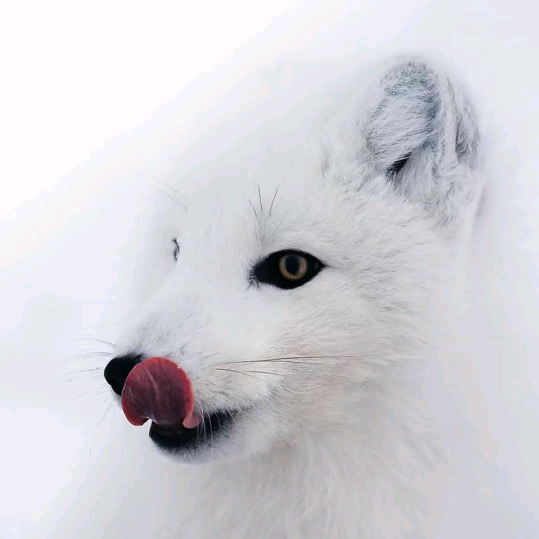 起点原点