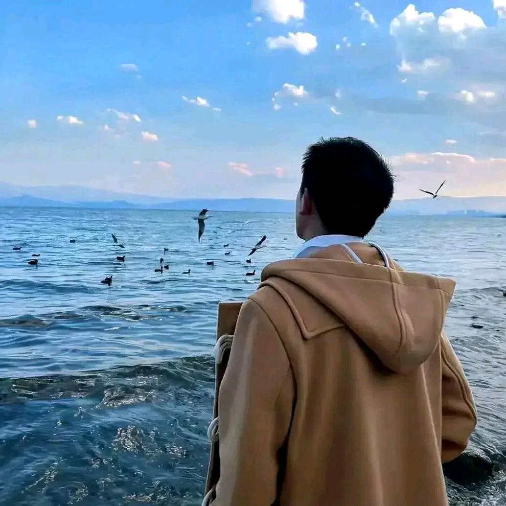 不离不弃