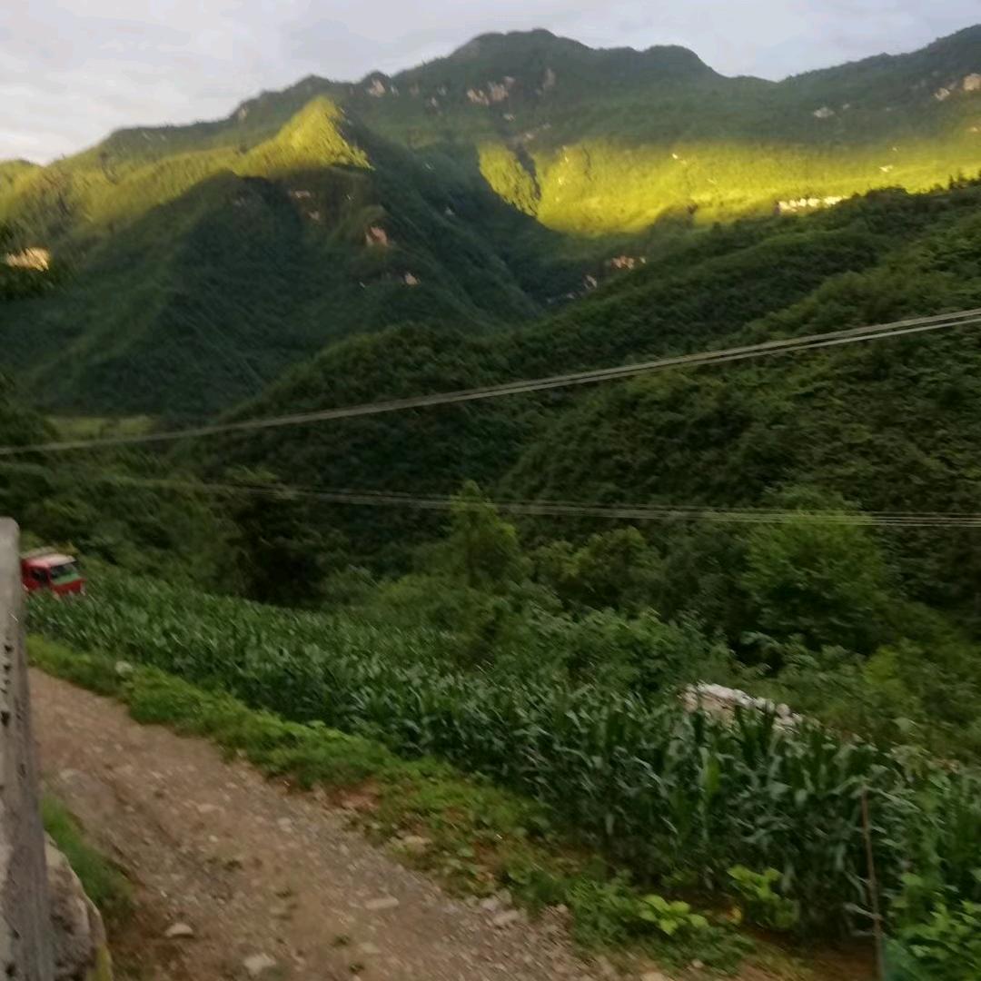 山青水秀单身一人
