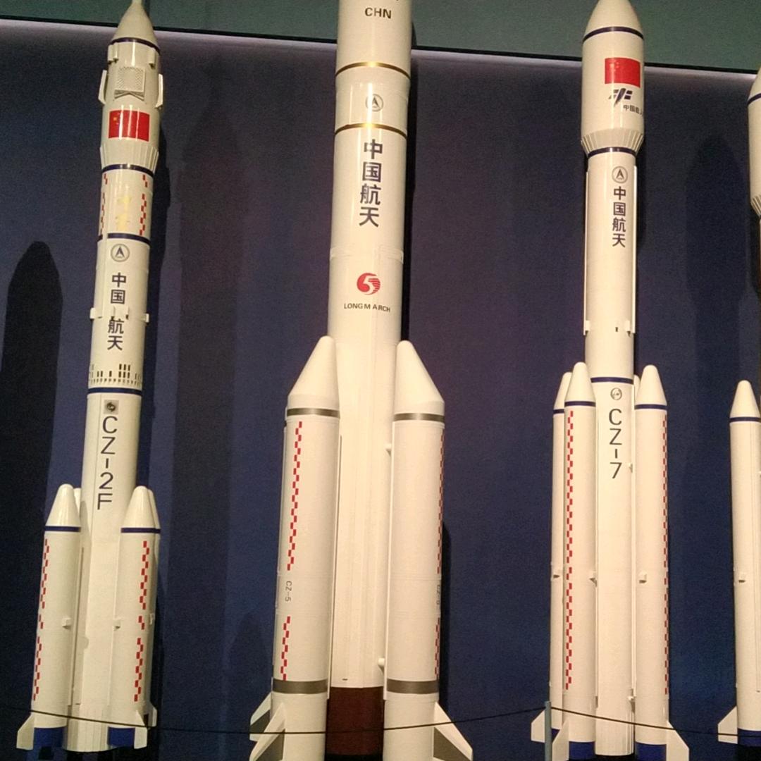 自由自在的飞翔