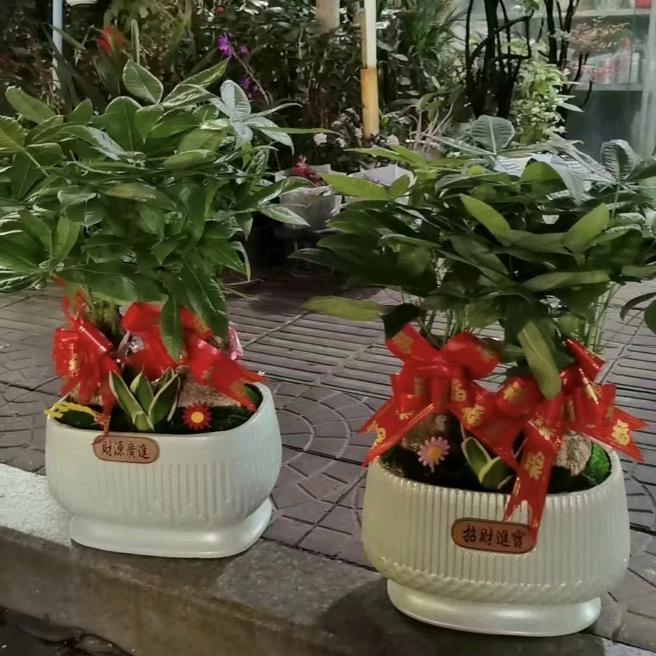 金金好物严选