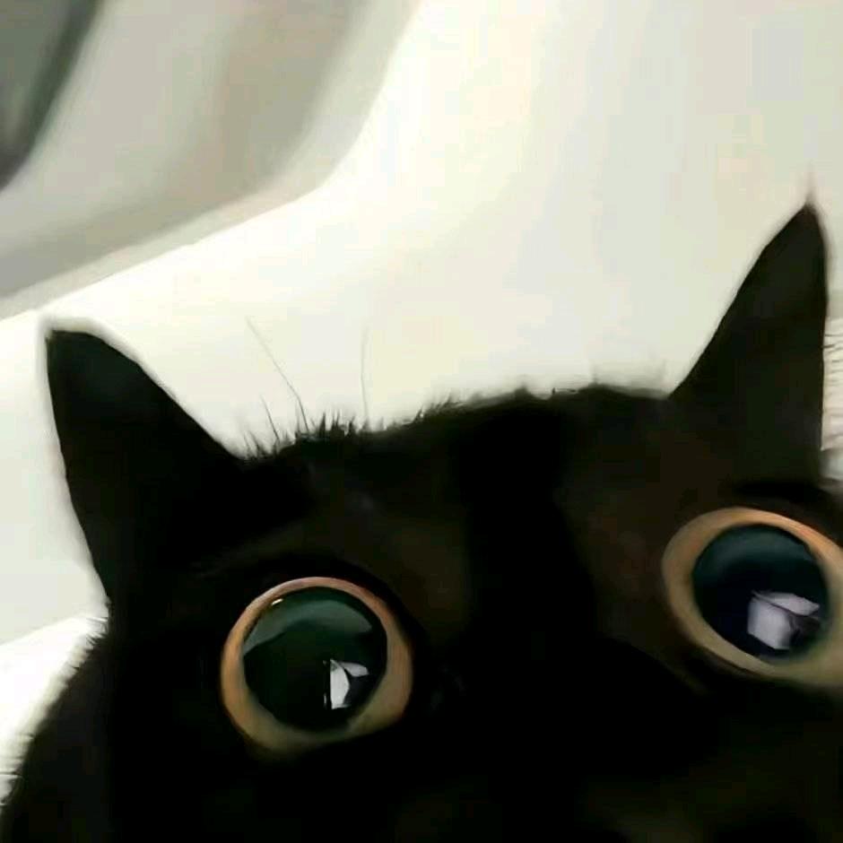小黄