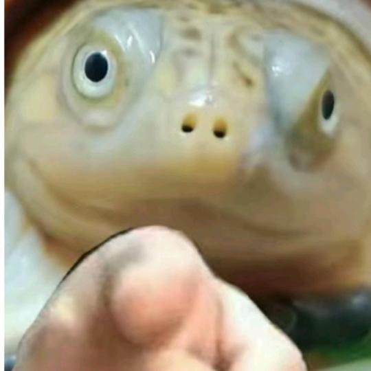 浙江大学生在江西学养鳝