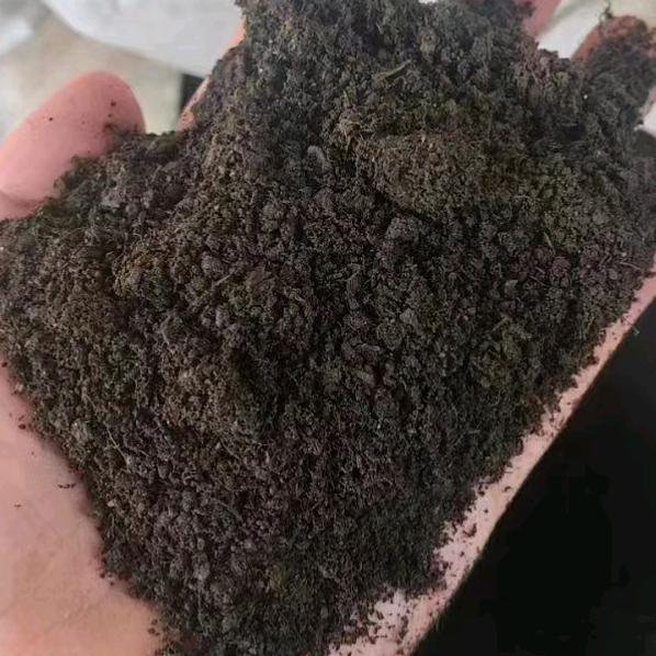 发酵鸡粪羊粪－刘鹏