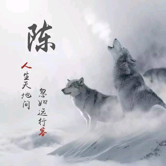 🐍喬爺