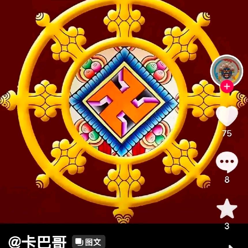 花开世界