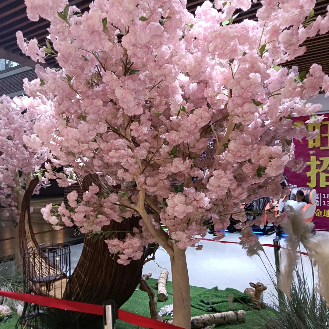小英