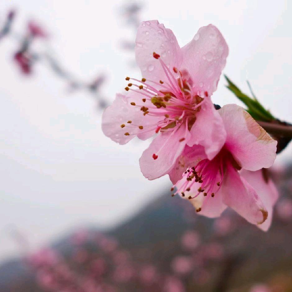 《卖🚗险的小姐姐》
