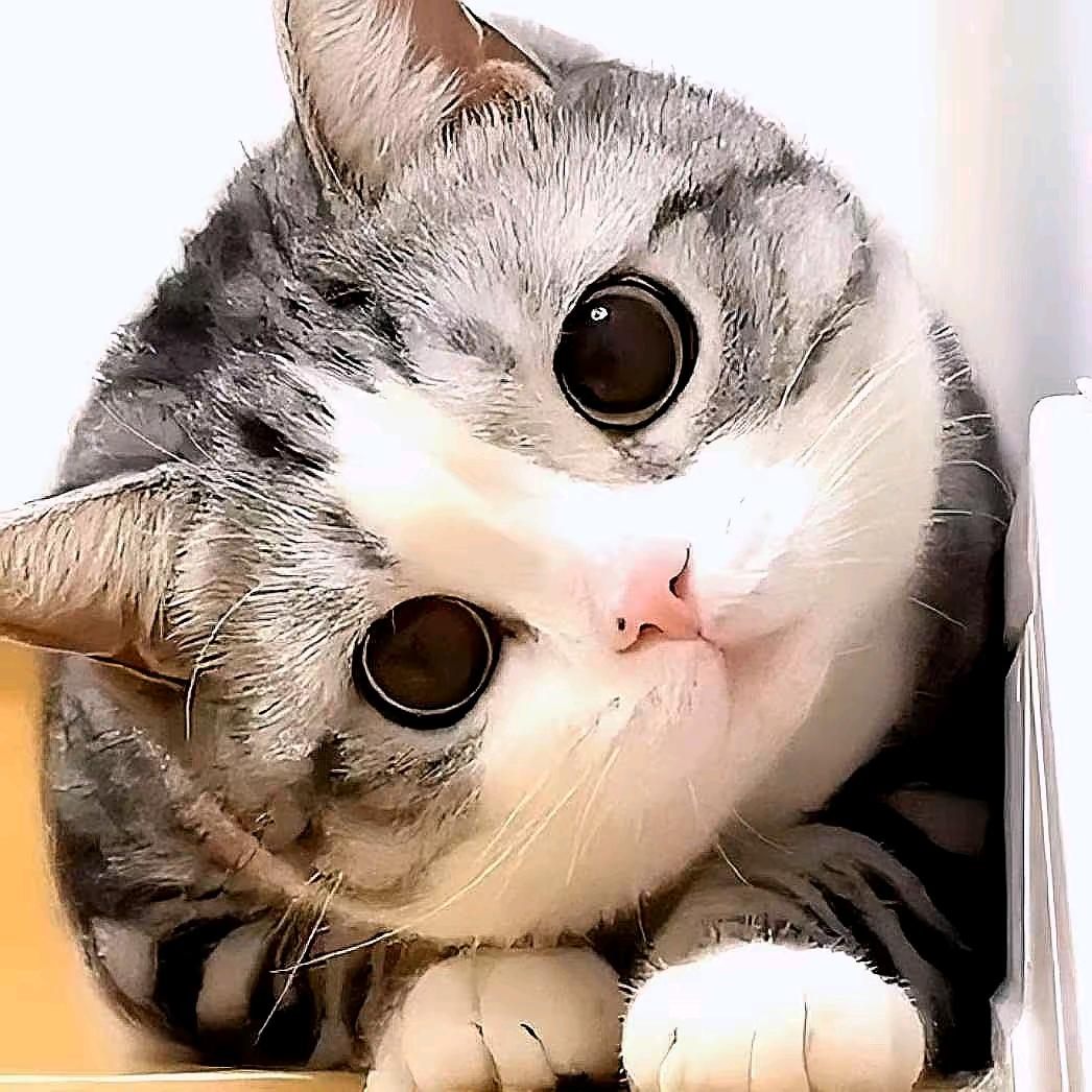 你生命中的过客