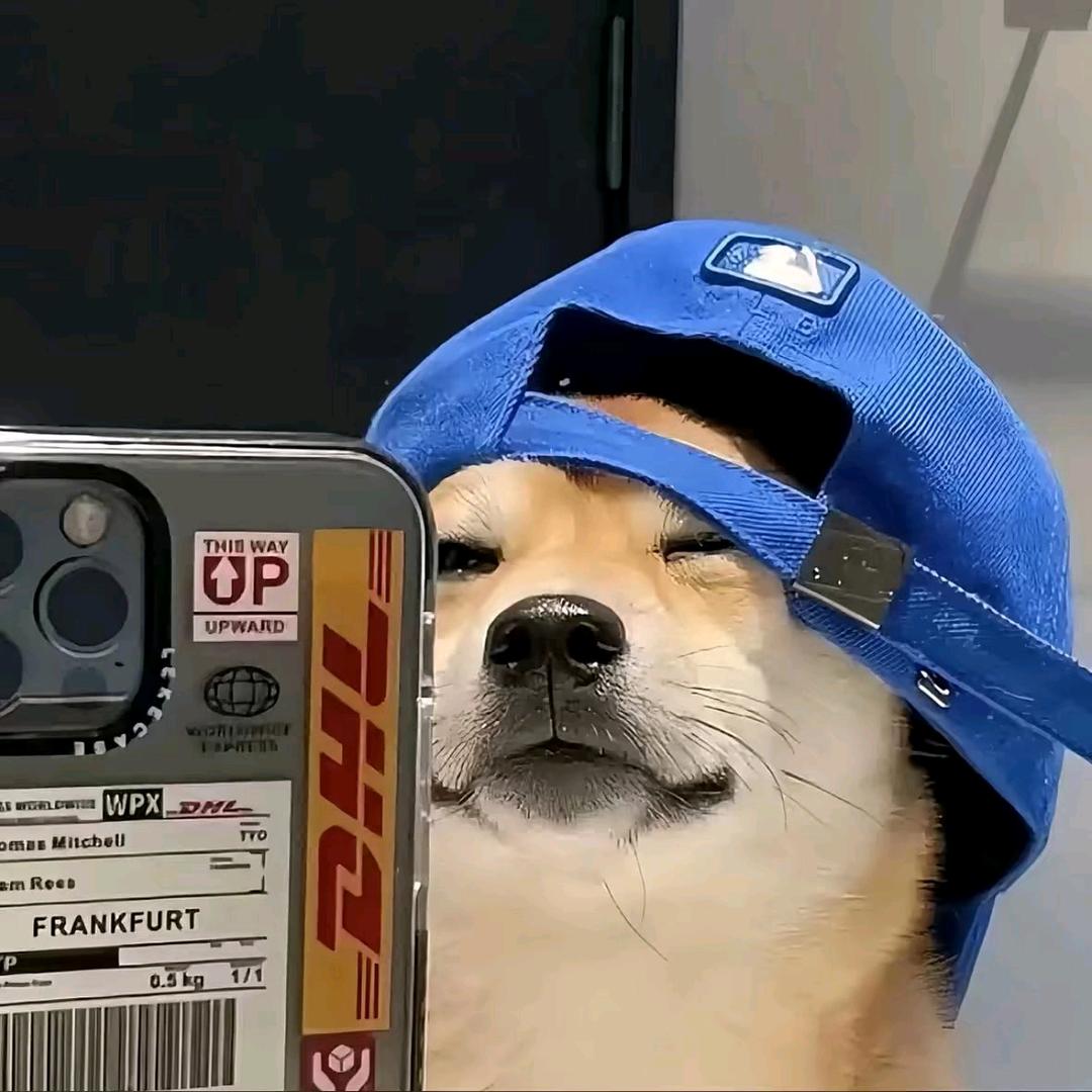 ……