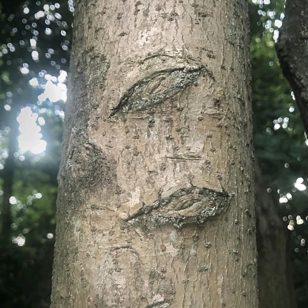 心衔泪
