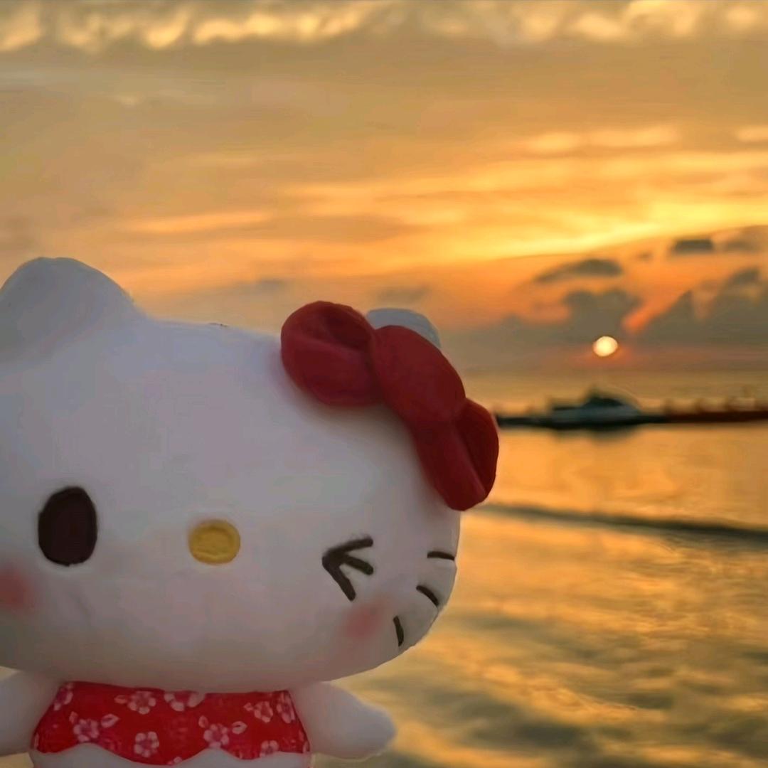 糕冷KT小猫