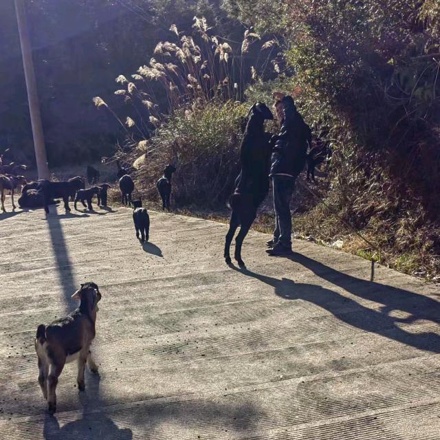 ꧁༺๑路๑༻꧂