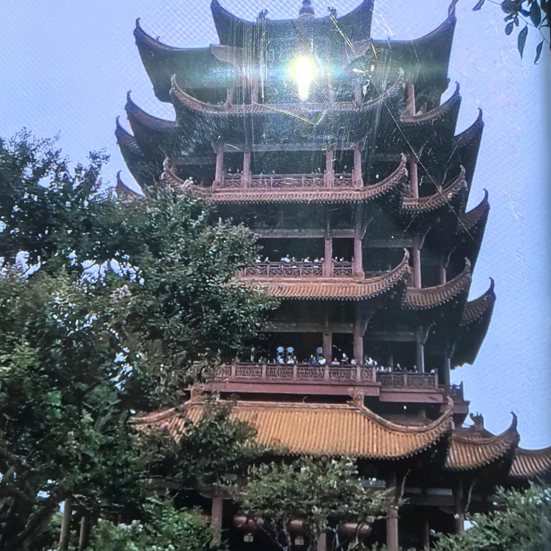 彬哥