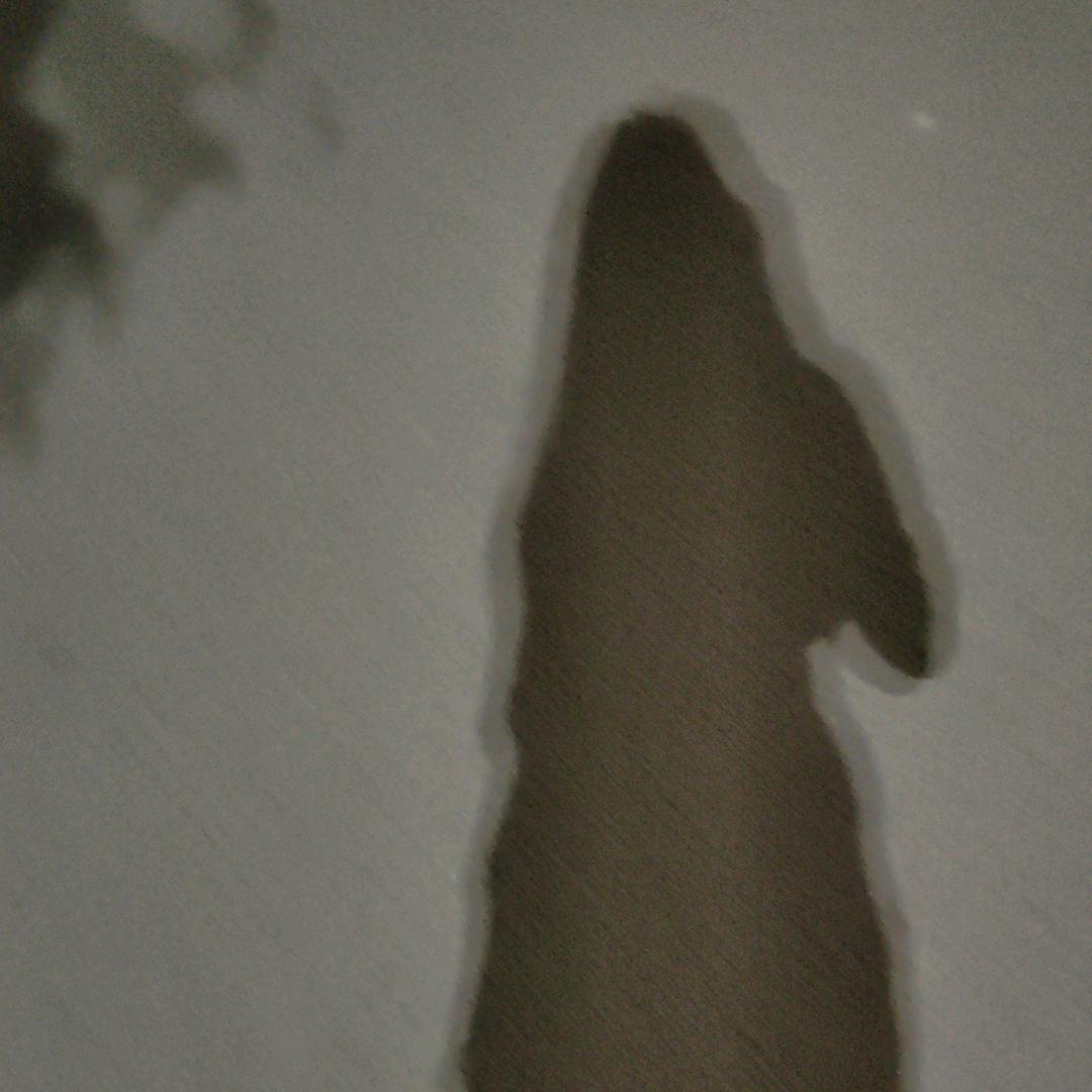 126