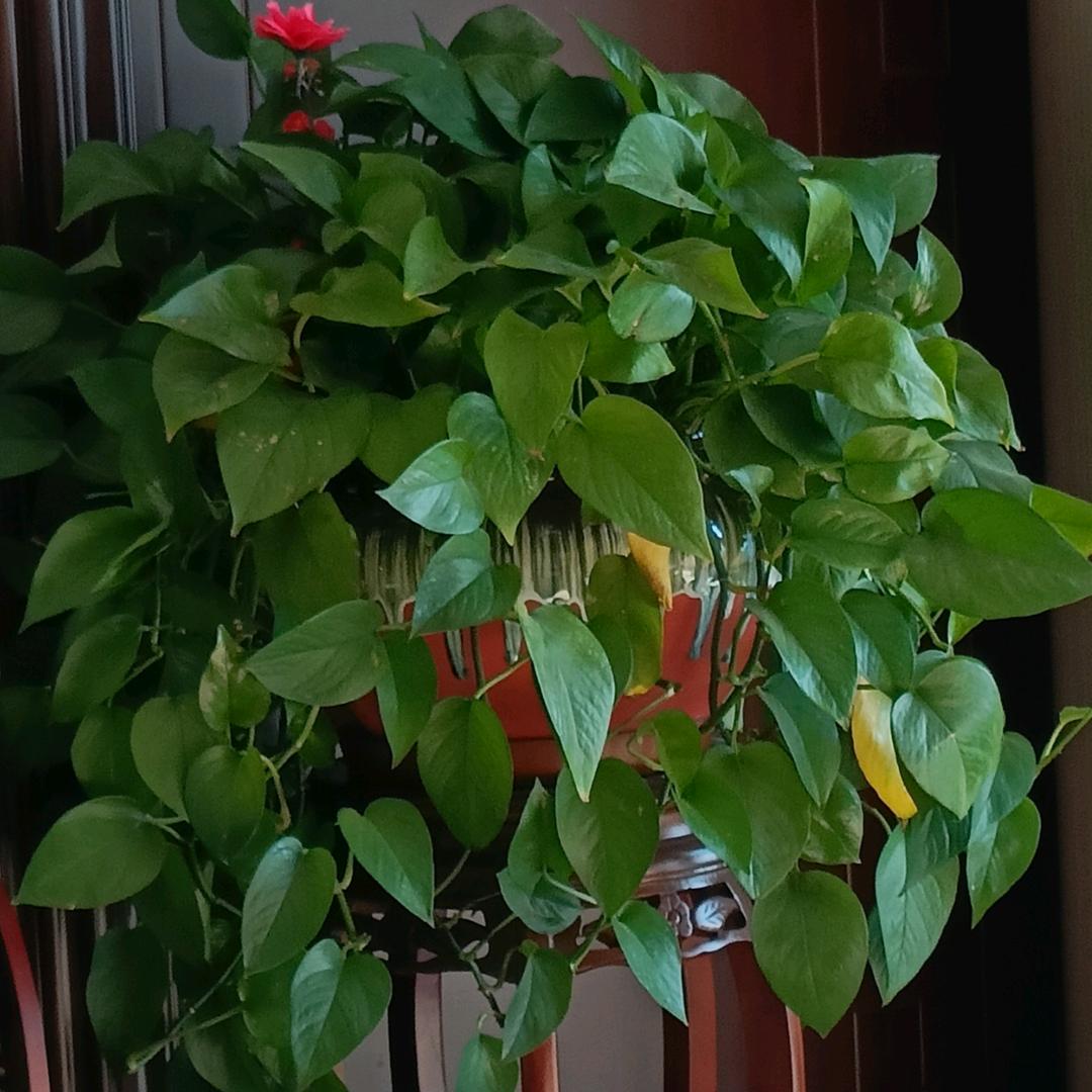 偶尔记录一下生活