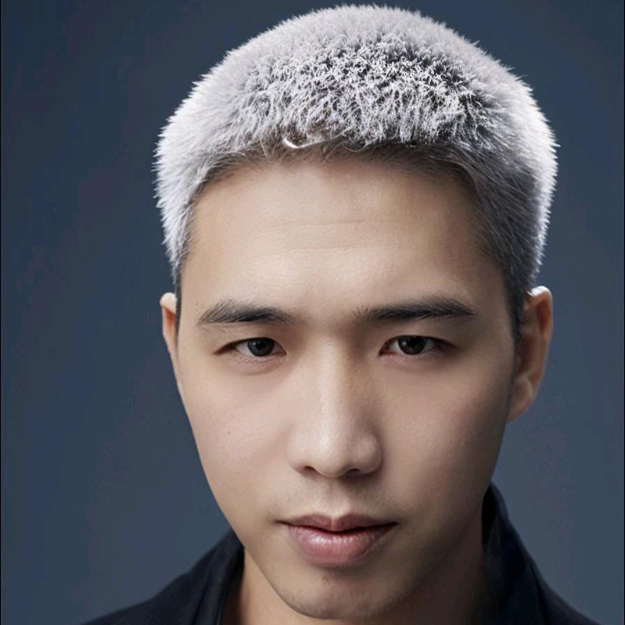 再见理想