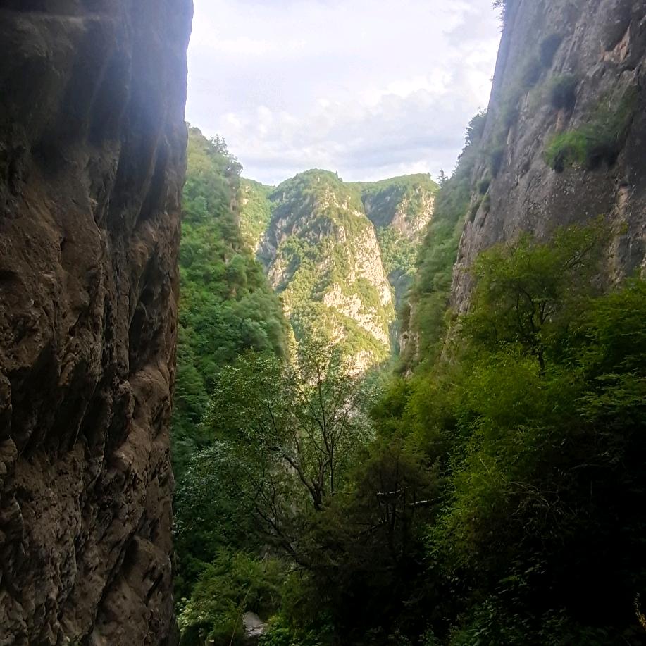 一曲离骚爷更骚