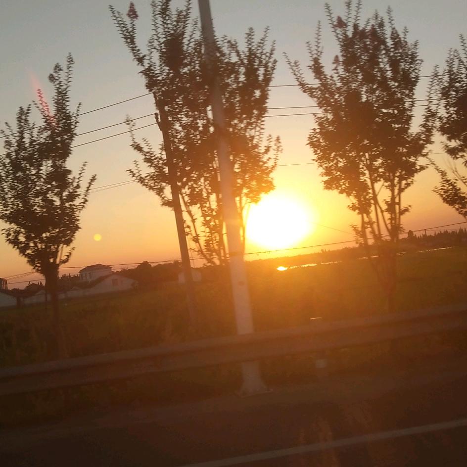 @小草霉