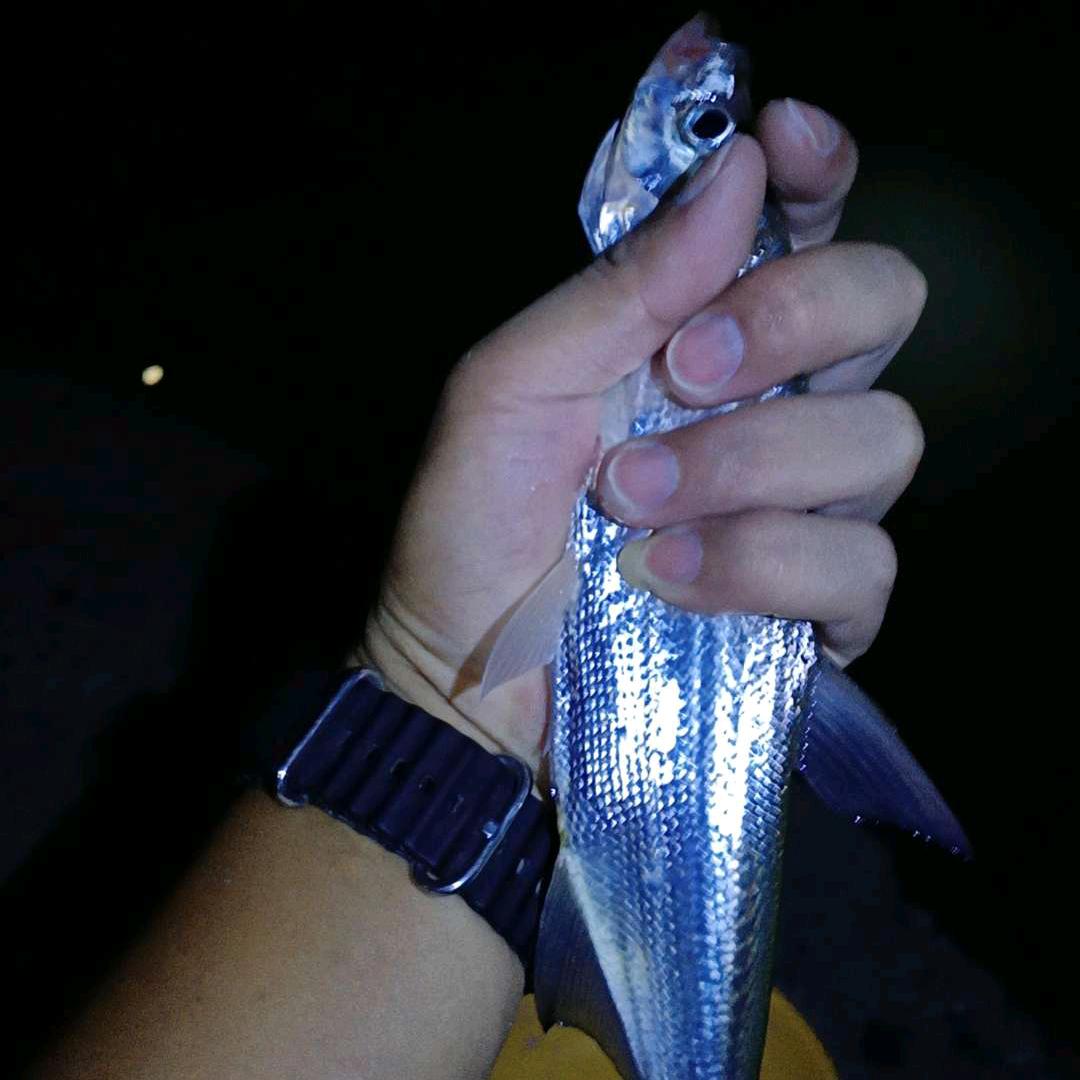 ꫝꪖρρꪗ .唸🎣🎣
