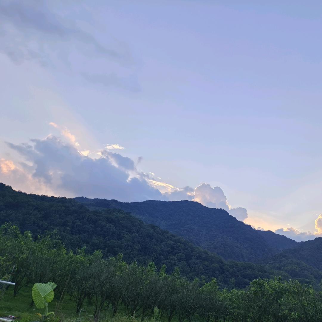 不一样精彩