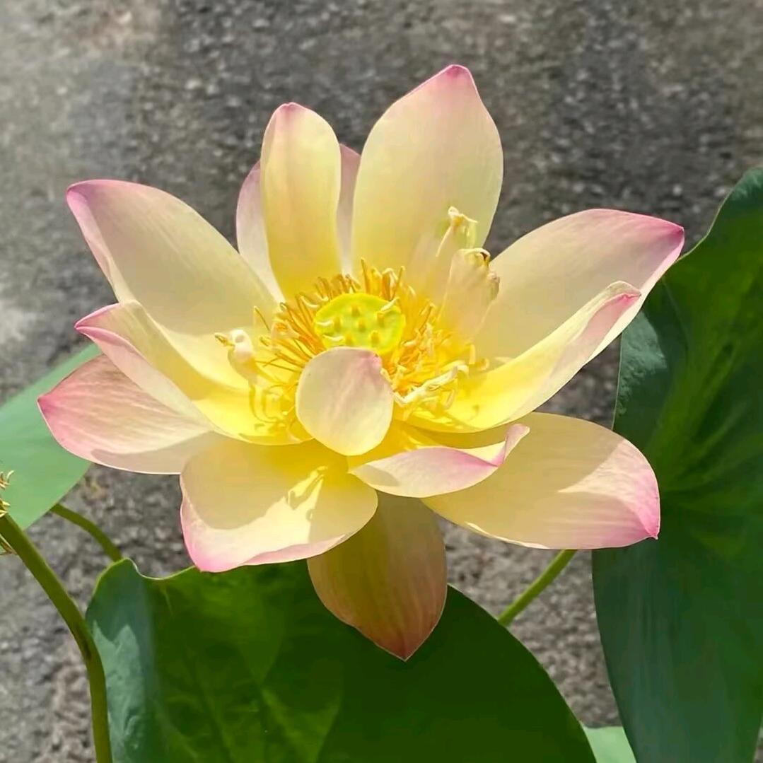 静心❤看世界