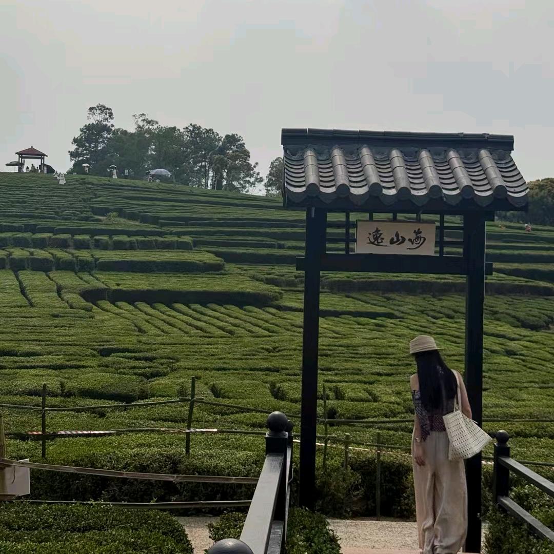 影子？