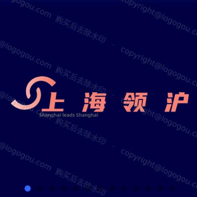 上海领沪精品二手车