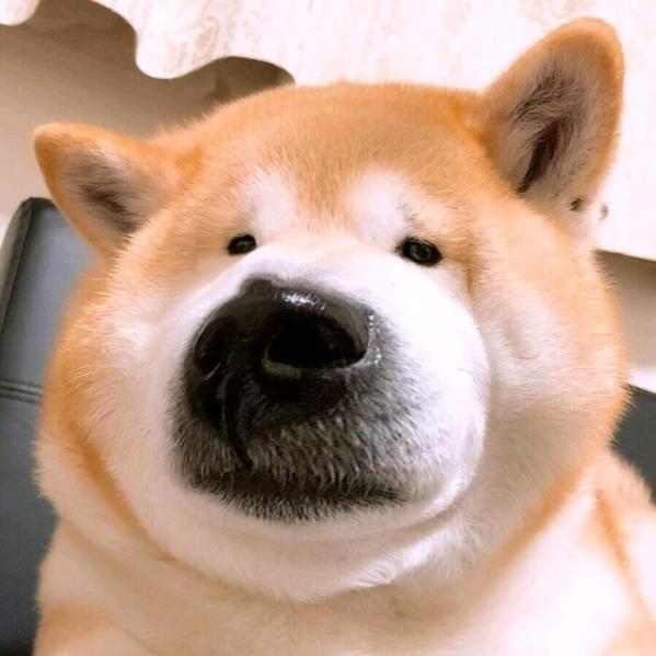 不知名帅小伙