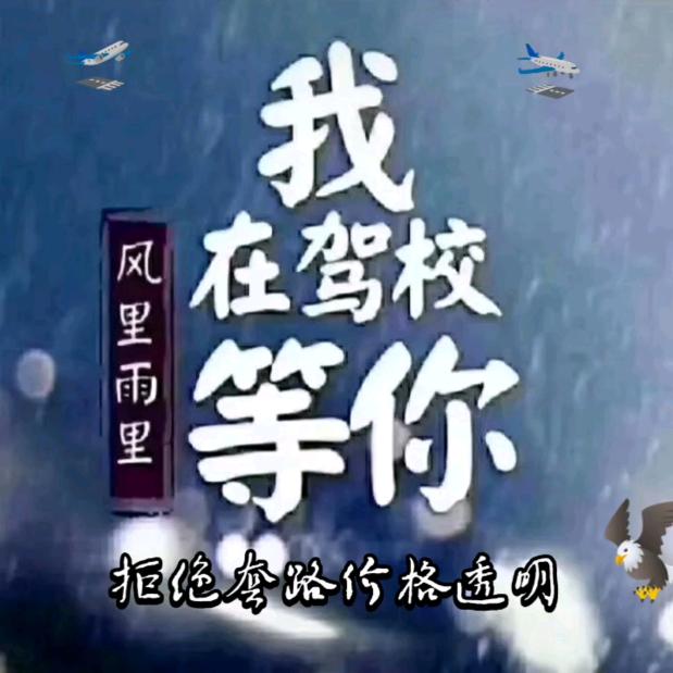 ᭄陈校长✨免费培训理论🚘