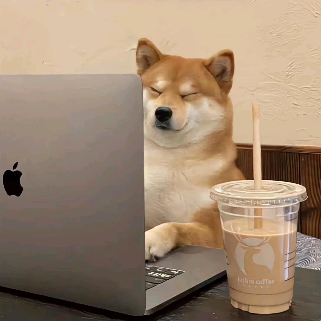 荼
