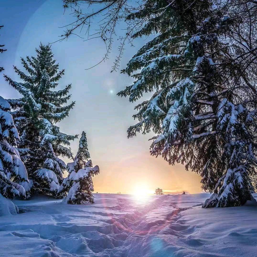 大城县领诚汽配经营部（个体工商户）