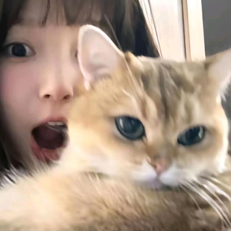 饼子