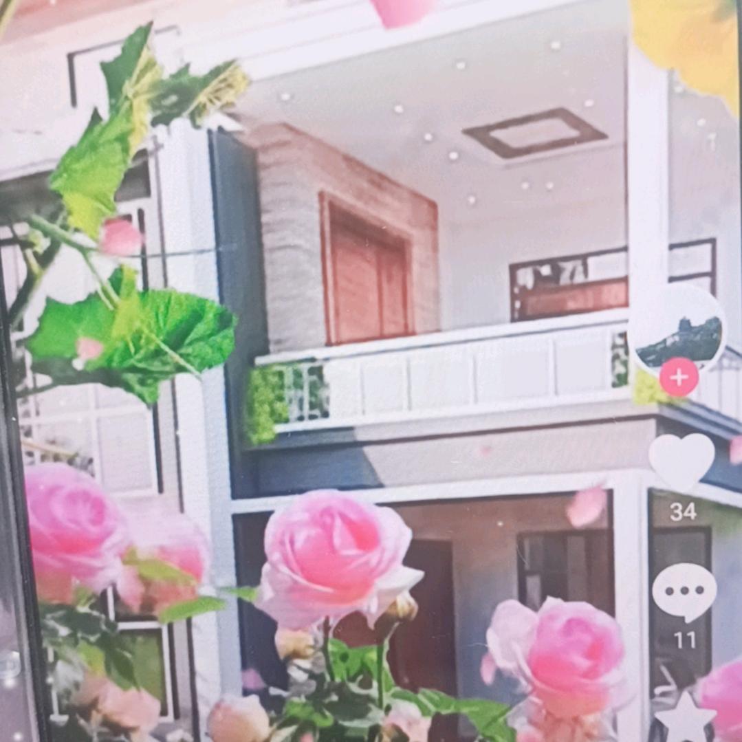 黄