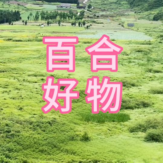 百合839好物