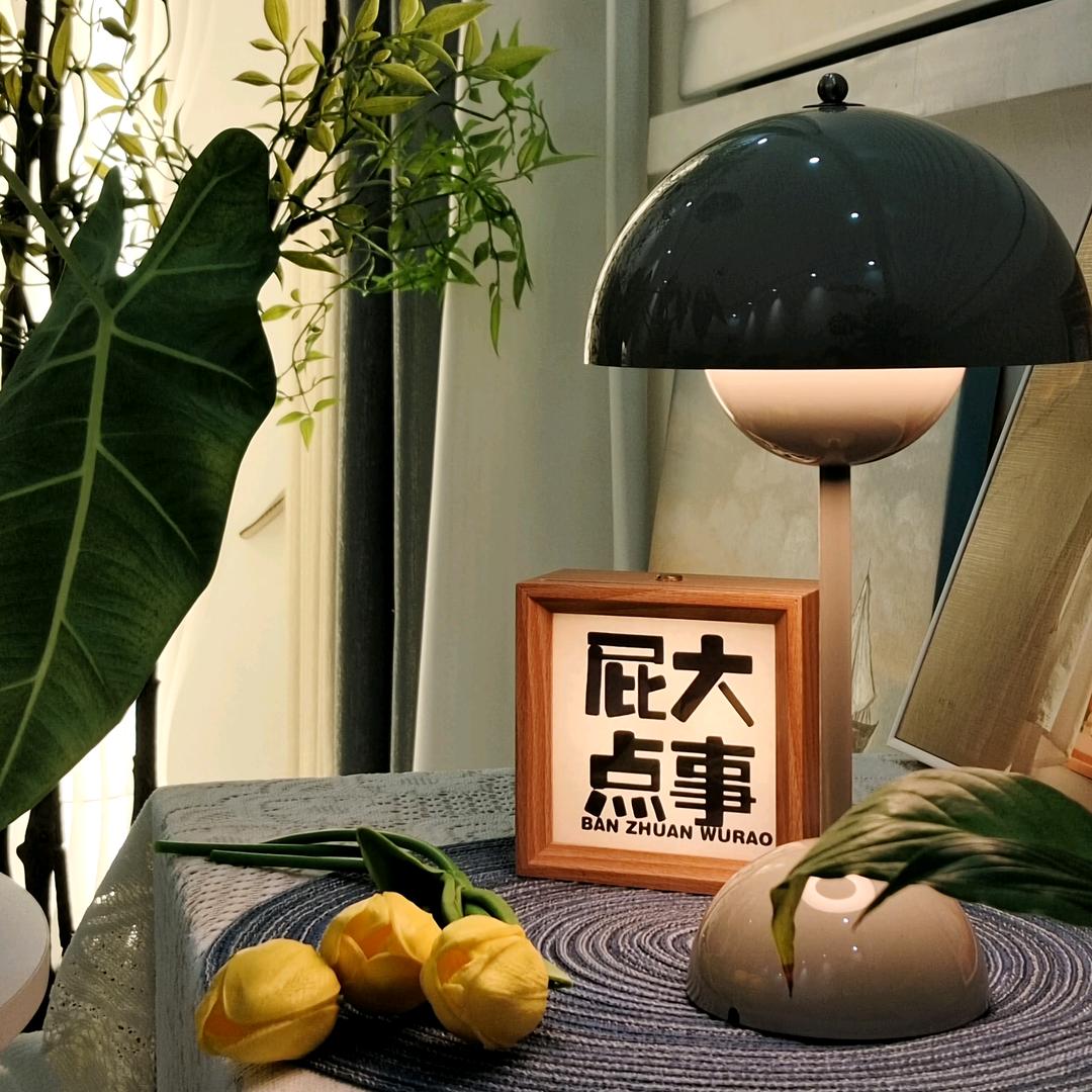 张张有个家🏠