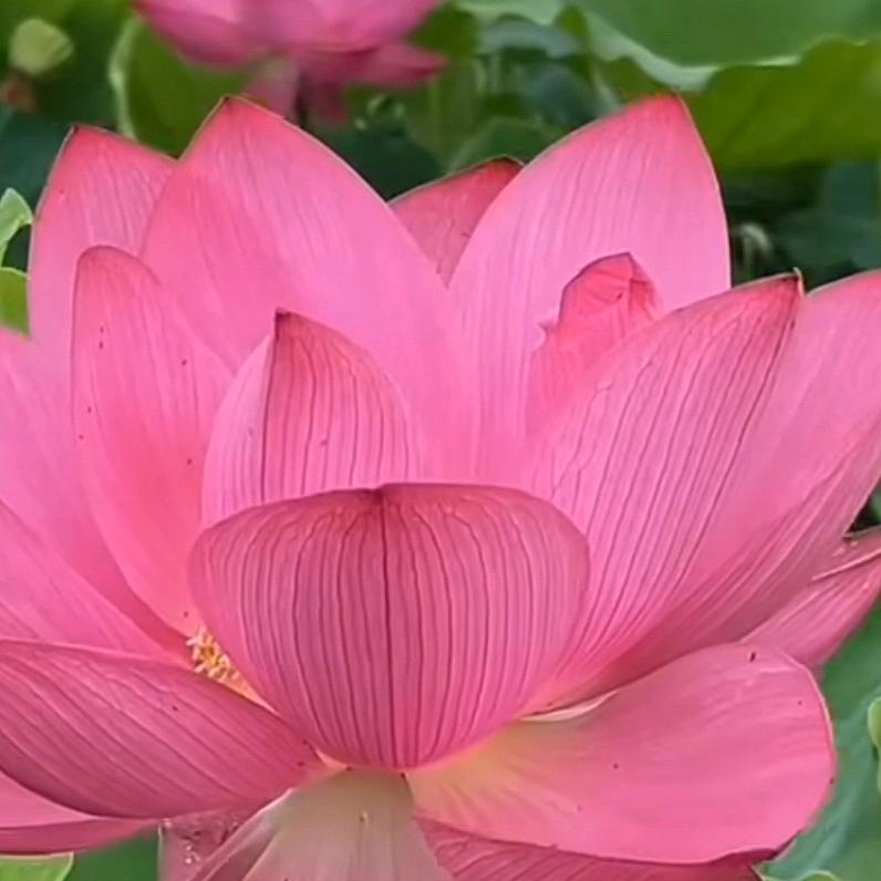 祝天下所有人好运连连