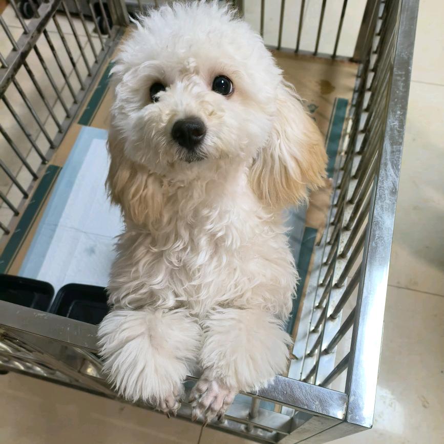 用户3355496227888