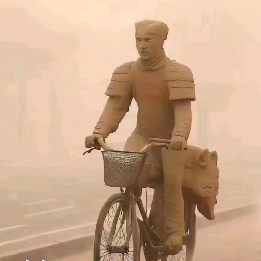 你现在翅膀硬了，烤起来应该很好吃