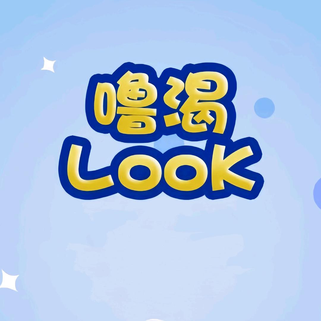 噜渴LOOK仓库供应链