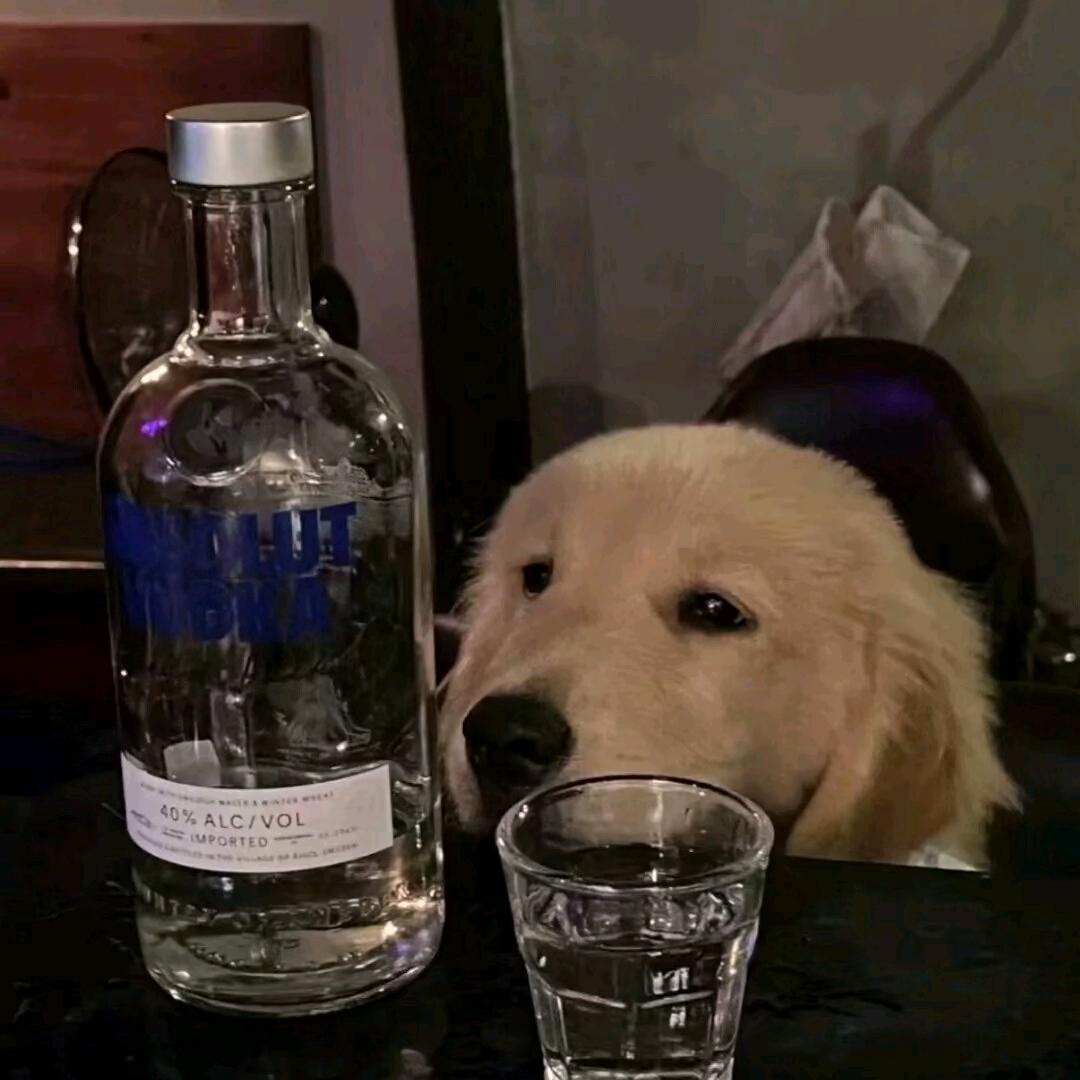 ￥…